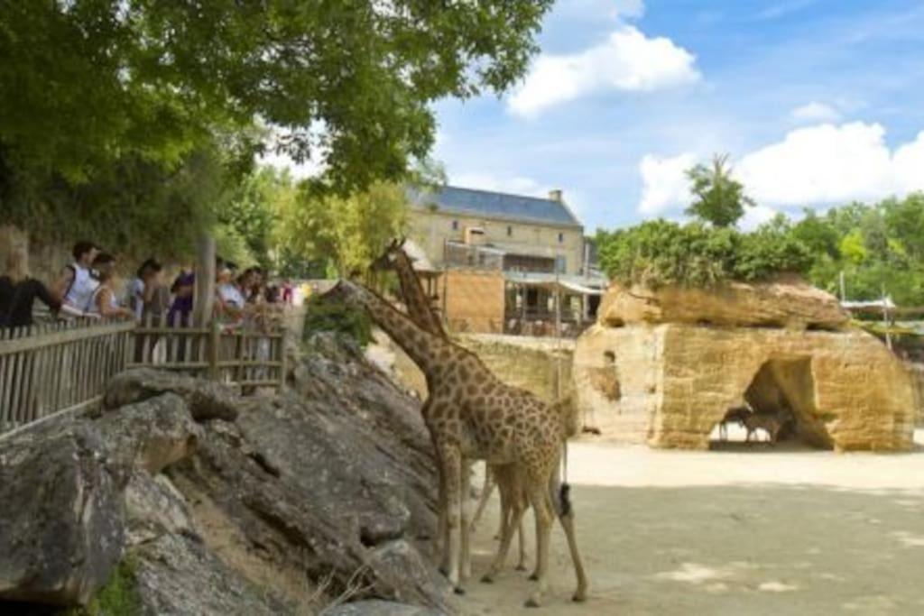 Louresse-Rochemenier Maison 2-3 Pers Semi-Troglodyte Angers-Saumur מראה חיצוני תמונה